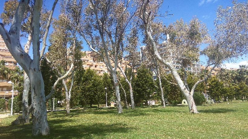 Appartamento ACV - Costa Marina I-1ª Linea Planta 2 Sur Oropesa del Mar Esterno foto